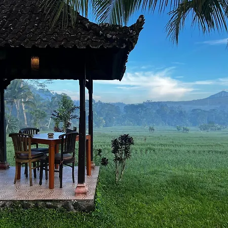 Great Mountain Views Nature Resort
