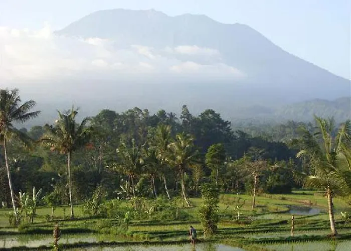 Great Mountain Views Nature