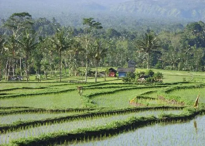 Village de vacances Great Mountain Views Nature Selat
